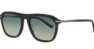 DAVIDOFF DAPS107-02 1/P723 55*19 GÜNEŞ GÖZLÜĞÜ