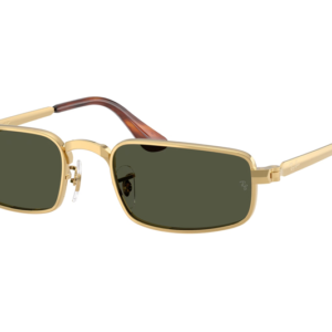 RAYBAN 3927 001/31 54*21 GÜNEŞ GÖZLÜĞÜ